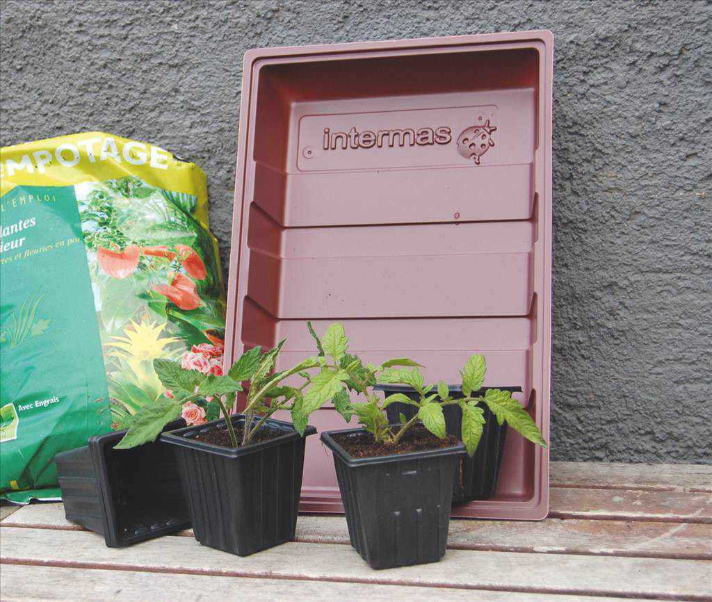 7 pots pour semis NORTENE