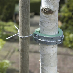 Collier pour arbres NORTENE, 0.6 m de marque NORTENE , référence: J5800800