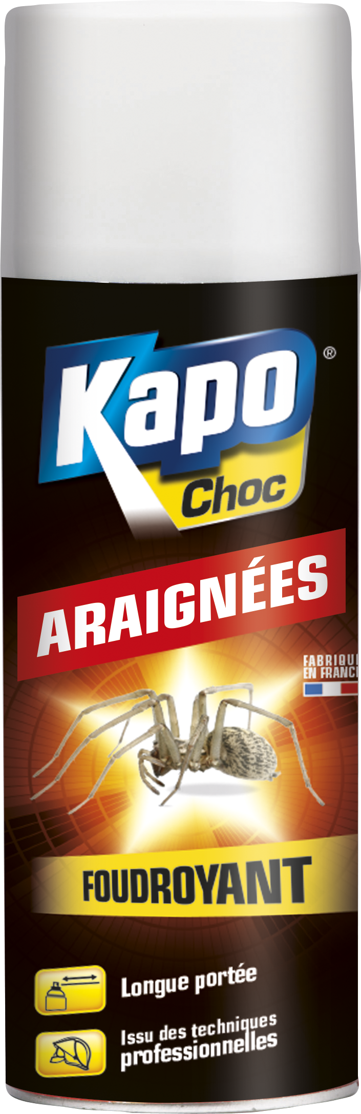 Insecticide aérosol araignées KAPO, 400 ml