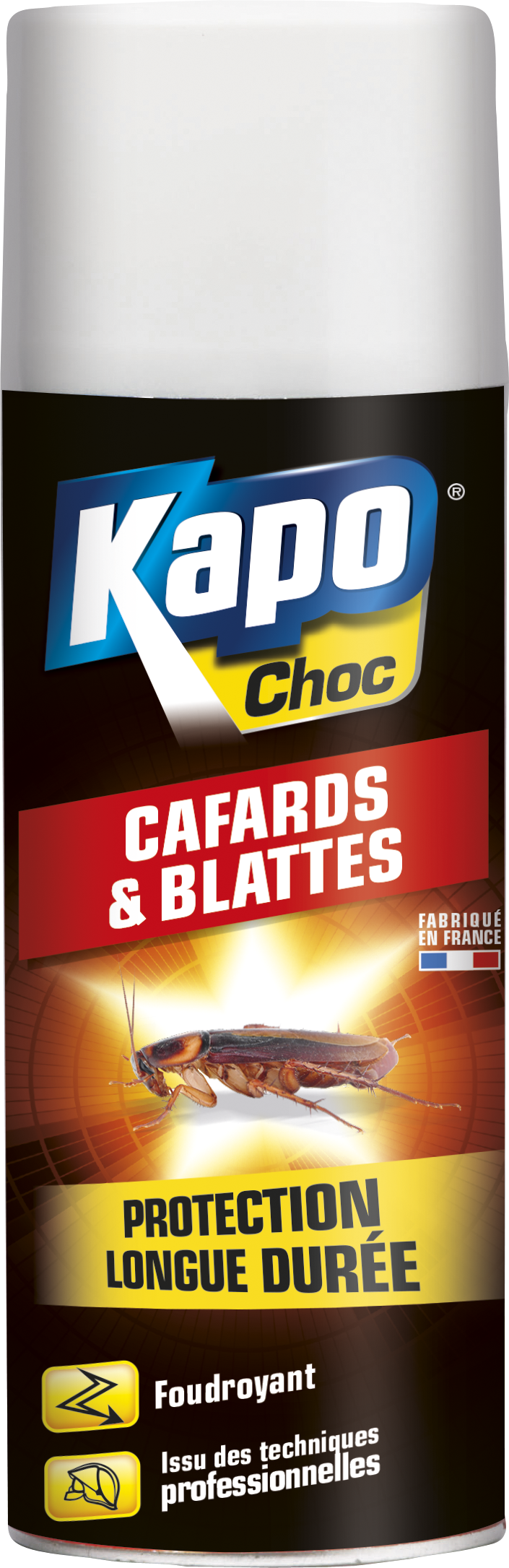 Insecticide aérosol cafards et blattes KAPO, 400 ml