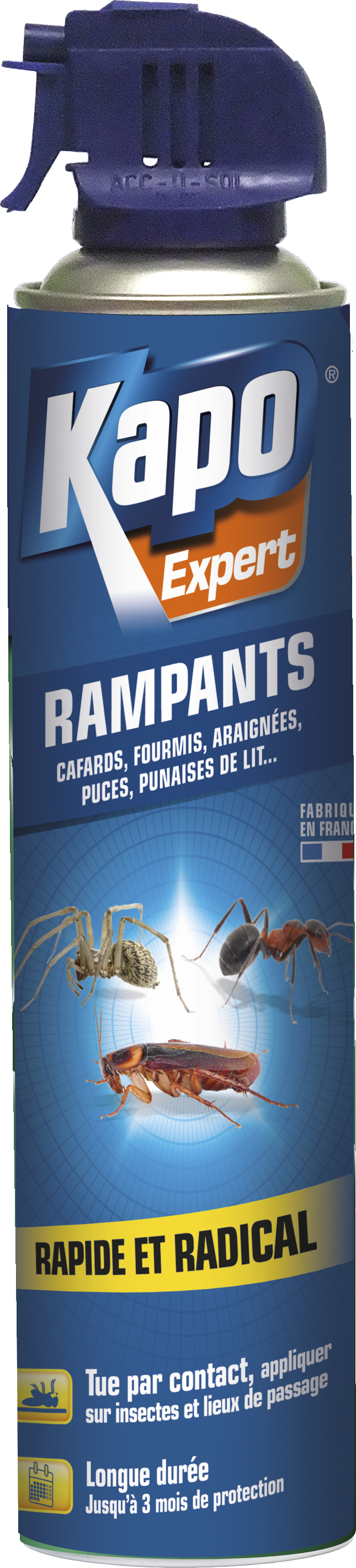 Insecticide aérosol insectes rampants KAPO, 400 ml