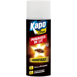 Insecticide aérosol punaises de lit KAPO, 400 ml de marque KAPO, référence: J5870800