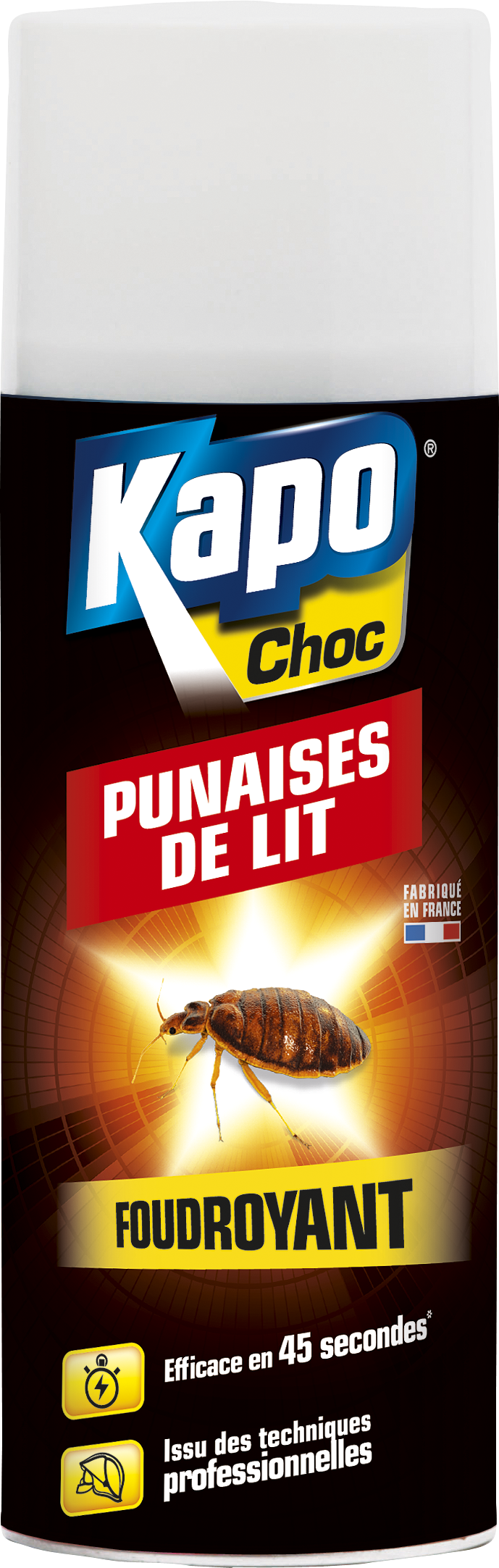 Insecticide aérosol punaises de lit KAPO, 400 ml
