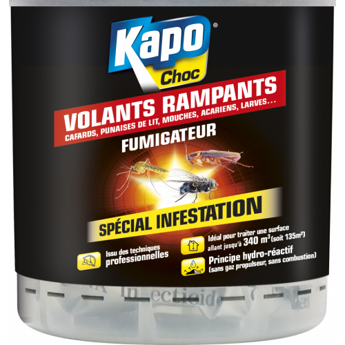 Insecticide puces et larves aérosol KAPO, 200 ml