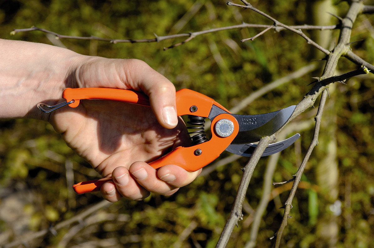 BAHCO Sécateur à lames croissantes acier trempé BAHCO PRADINES P126...