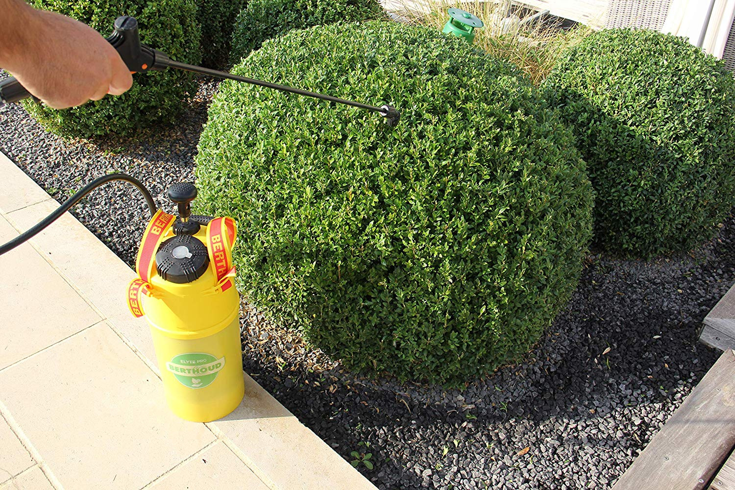 Insecticide Express Prêt à L'emploi Contre La Pyrale Du Buis - Traitement Efficace, Flacon De 700 Ml