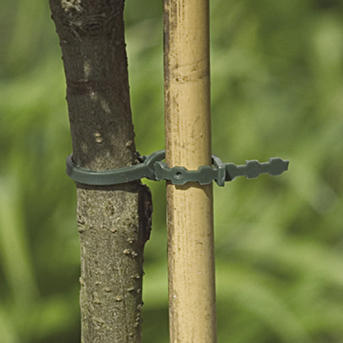 Lot de 20 liens pour arbres NORTENE, 0.37 m - NORTENE 