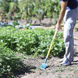 Binette trident NaturOvert - manche bois 150cm certifié PEFC 100% + poignée - Leborgne