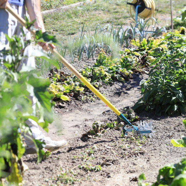 Grattoir Oscillant Émietteur NaturOvert Leborgne Manche Bois 150cm PEFC - Outil Jardin