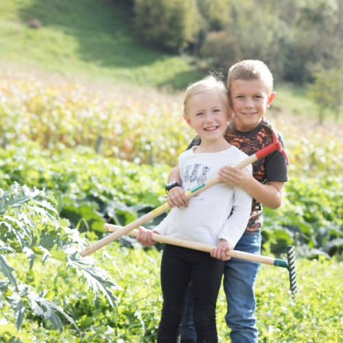 Râteau Plastique Enfant - manche bois certifié PEFC 100% - Leborgne