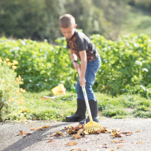 Balai Gazon Plastique Enfant - manche bois certifié PEFC 100% - Leborgne