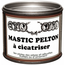 Mastic à cicatriser PELTON, 195 g de marque PELTON, référence: B6344800