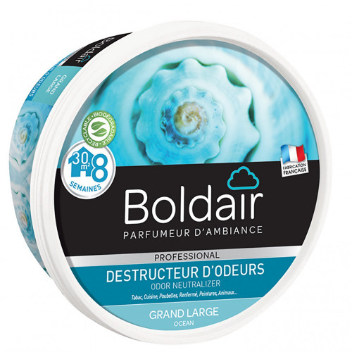 Destructeur d'odeur gel Boldair odeur marine 300 g - Centrale Brico