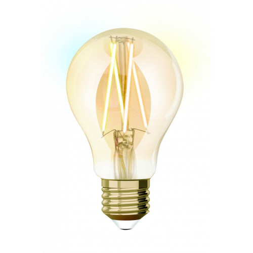 Ampoule intelligente led filament ambré std E27 806Lm 60W variation blanc, Idual - Centrale Brico