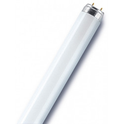 Tube fluorescent droit G13 blanc 3350 Lm  36 W blanc neutre, OSRAM de marque Centrale Brico, référence: B6397900