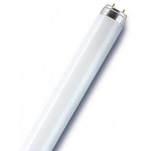 Tube fluorescent droit G13 blanc 3350 Lm 36 W blanc neutre, OSRAM - OSRAM