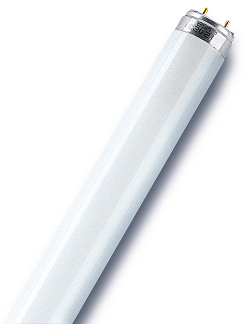 Tube fluorescent droit G13 blanc 3350 Lm 36 W blanc neutre, OSRAM