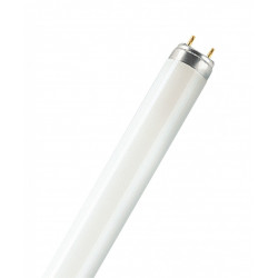 Tube fluorescent droit G13 blanc 5200 Lm  58 W blanc, OSRAM de marque Centrale Brico, référence: B6398000