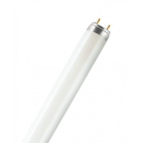 Tube fluorescent droit G13 blanc 5200 Lm  58 W blanc, OSRAM - OSRAM