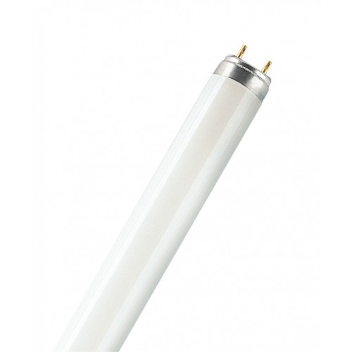 Tube fluorescent droit G13 blanc 5200 Lm 58 W blanc, OSRAM - OSRAM