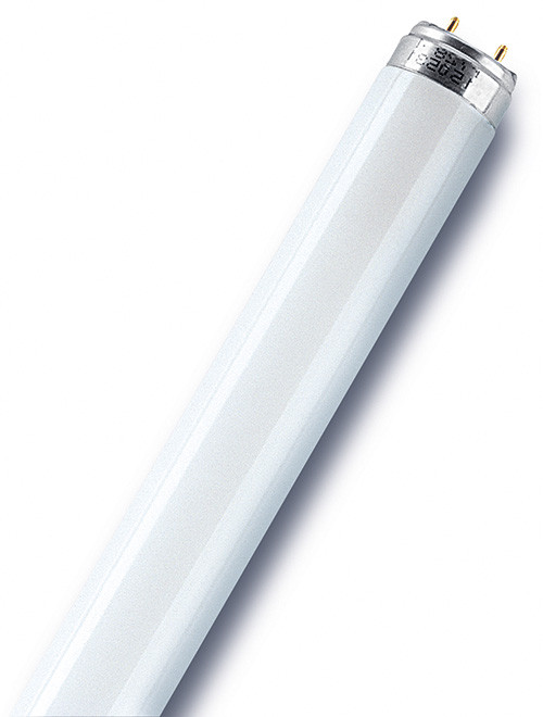 Tube fluorescent droit T8 blanc 1350 Lm 18 W blanc, OSRAM