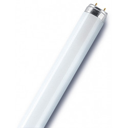 Tube fluorescent droit T8 opaque 950 Lm  70 W blanc, OSRAM - OSRAM