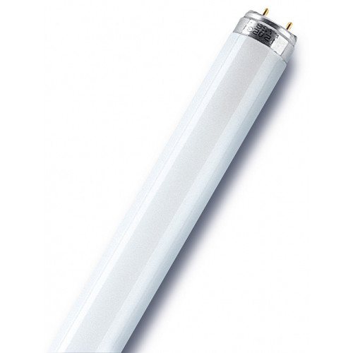 Tube fluorescent droit T8 opaque 950 Lm  70 W blanc, OSRAM - OSRAM