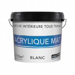 Peinture mur et plafond blanc mat, 12 l - Centrale Brico