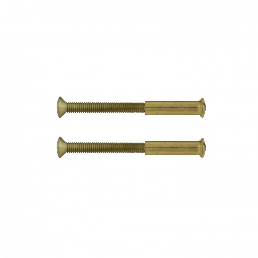 Lot de 2 vis acier laitonné, L.4.5 x l.0.7