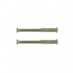 Lot de 2 vis acier nickelé, L.4.5 x l.0.7 de marque CHRISLIGNE, référence: B6554500