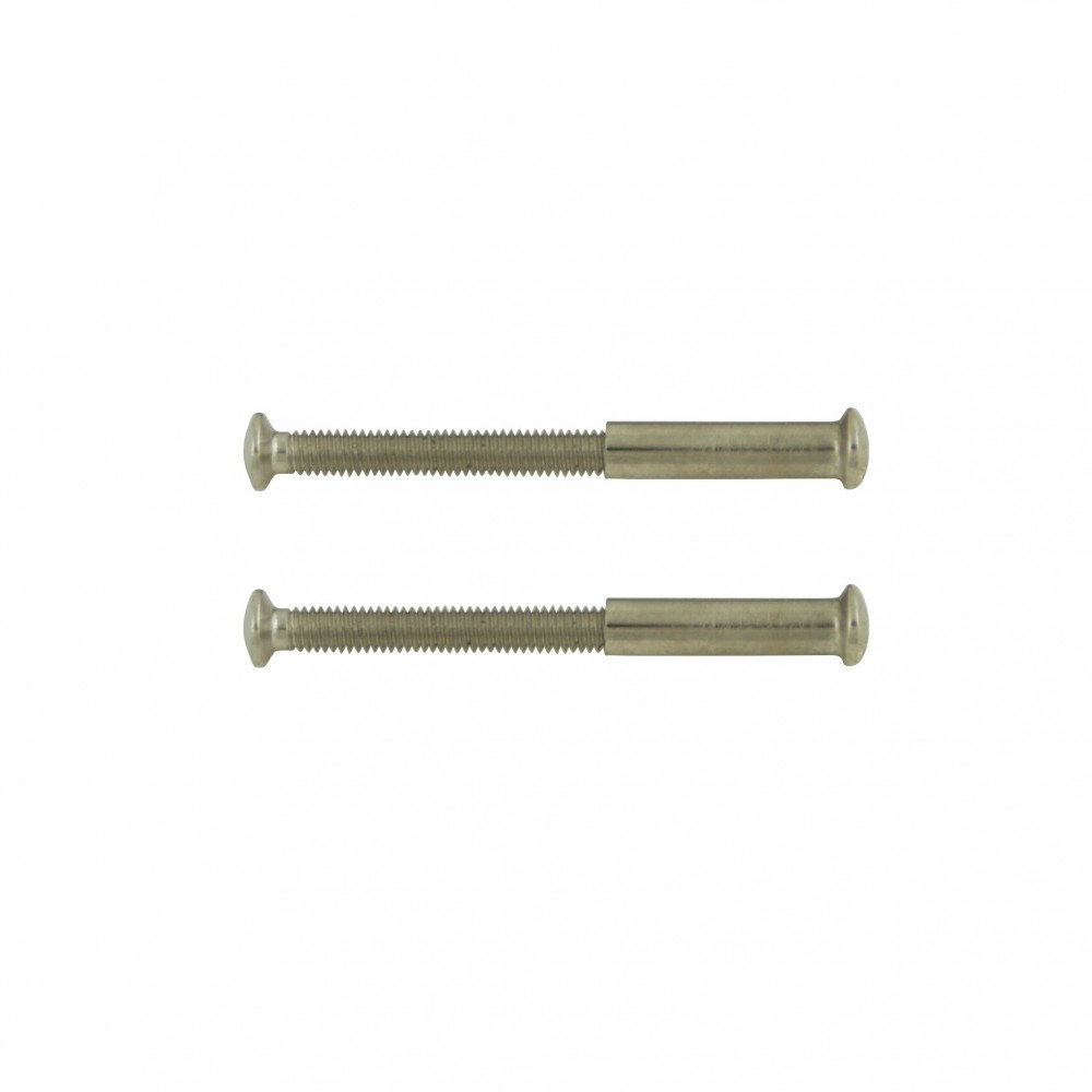 Lot de 2 vis acier nickelé, L.4.5 x l.0.7