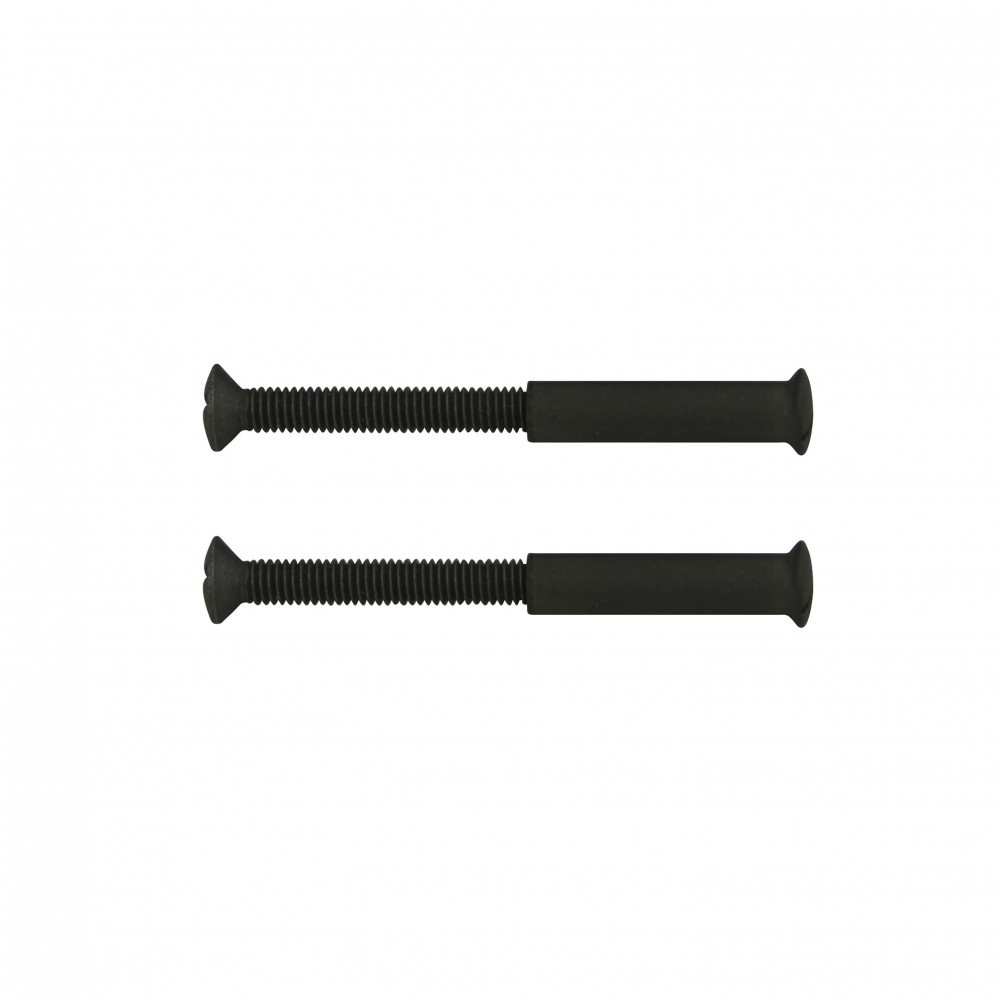 Lot de 2 vis acier patiné, L.4.5 x l.0.7