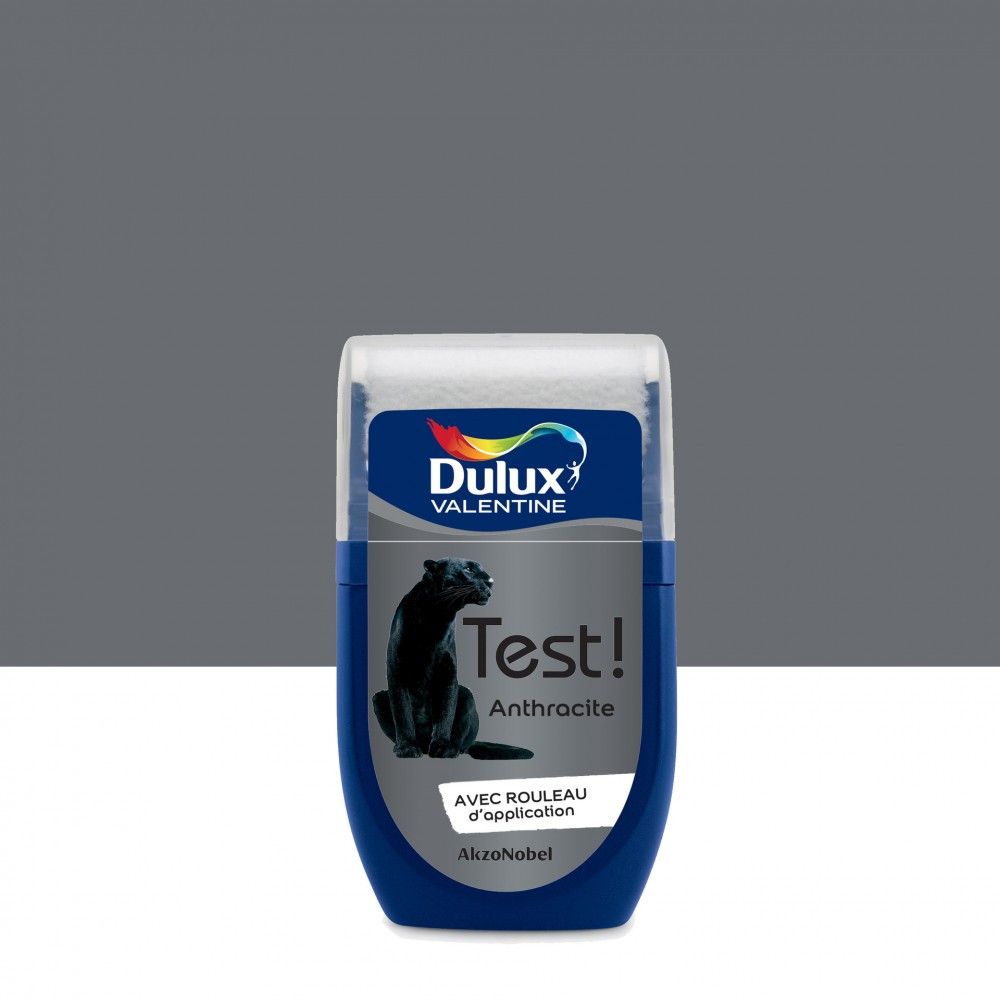 Testeur peinture Crème de couleur anthracite satin 30 mL - DULUX VALENTINE