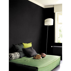 Testeur peinture Crème de couleur noir satin 30 mL - DULUX VALENTINE - DULUX VALENTINE