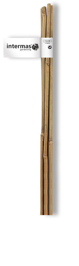Lot de 4 tuteurs bambou droit NORTENE H.0.9 m