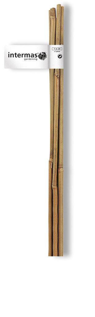 Tuteur bambou droit NORTENE H.1.8 m