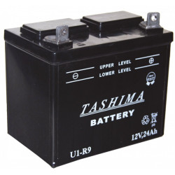 Batterie pour tondeuses autoportées 12V, 24A (livrée sans acide) - Centrale Brico