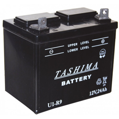 Batterie pour tondeuses autoportées 12V, 24A (livrée sans acide) - Centrale Brico