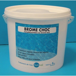 Régénérateur de brome piscine, en poudre 5 kg - Centrale Brico