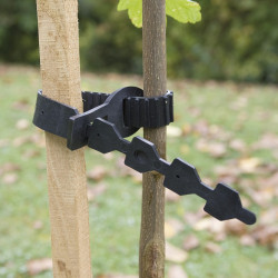 Collier arbre collier de 55 cm NORTENE - NORTENE