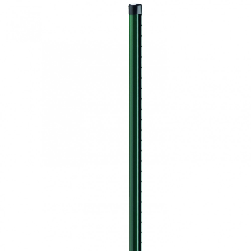 Dirickx Verte/Vert