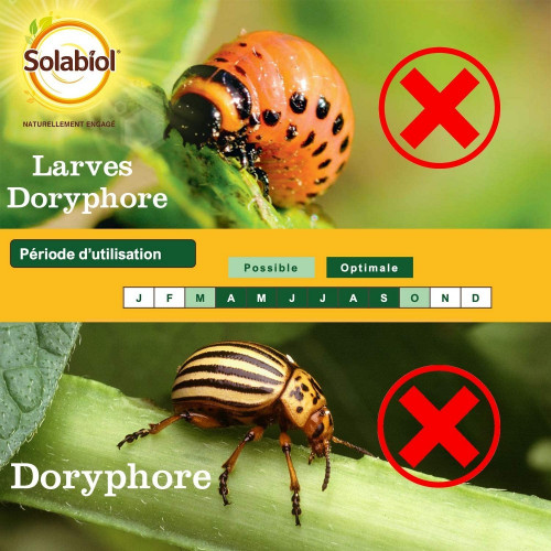 Traitement des insectes doryphores SOLABIOL, pour potager et verger, 125 ml - SOLABIOL