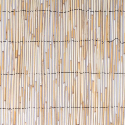 Canisse roseau beige, H.1.5 x L.3 m, 75% occultant - Centrale Brico