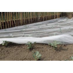 Filet anti-insectes Biocontrol en polyester - 2 x 100 m - Blanc - NORTENE 