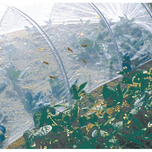 Filet anti-insectes Biocontrol en polyester - 2 x 100 m - Blanc - NORTENE 