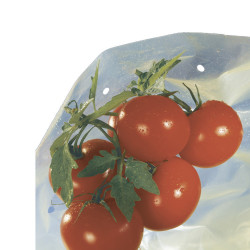 Housse de croissance tomate Tomatotube en film perforé jaune - avec liens