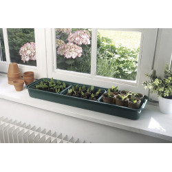 Lot de 3 mini serres Rapid Grow Window avec bac pour fenêtres - vert/transparent - NORTENE 