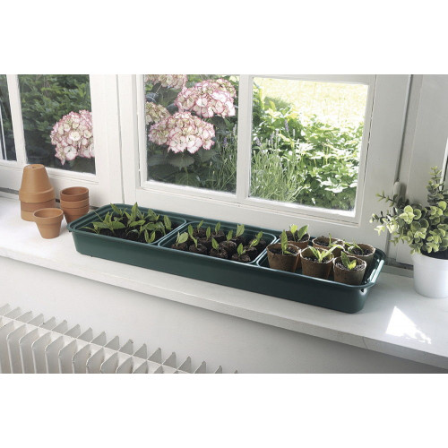 Lot de 3 mini serres Rapid Grow Window avec bac pour fenêtres - vert/transparent - NORTENE 