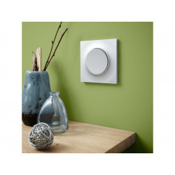 Plaque Simple Odace Styl, Aluminium - SCHNEIDER ELECTRIC