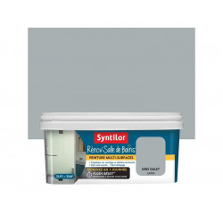 Peinture salle de bains Rénov'salle de bains gris galet satiné 2 l - SYNTILOR